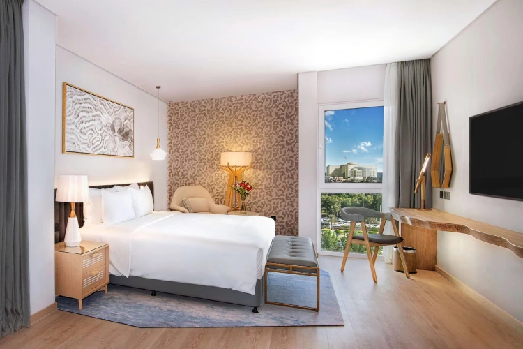 Double Suite with city view