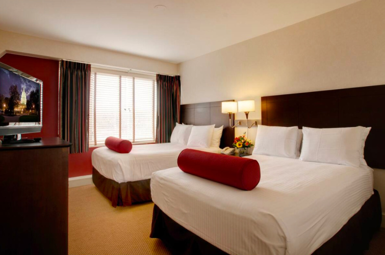 Twin Suite
