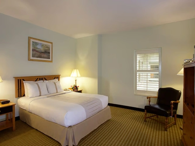 Cosy Double room