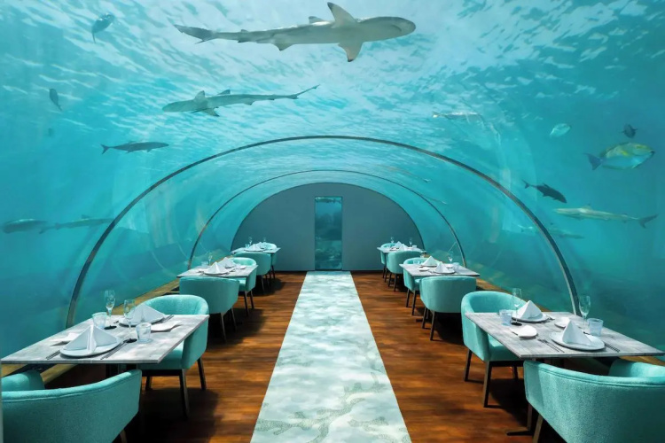 Conrad Maldives Rangali Island photo 13