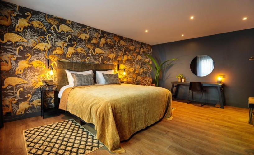 Comfort Double Suite