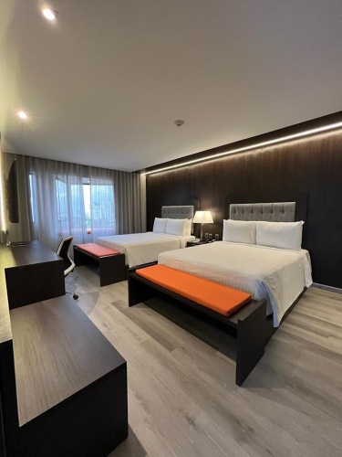 Rooftop Double Suite