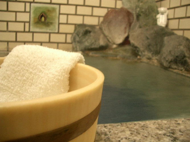 Fujiya Ryokan