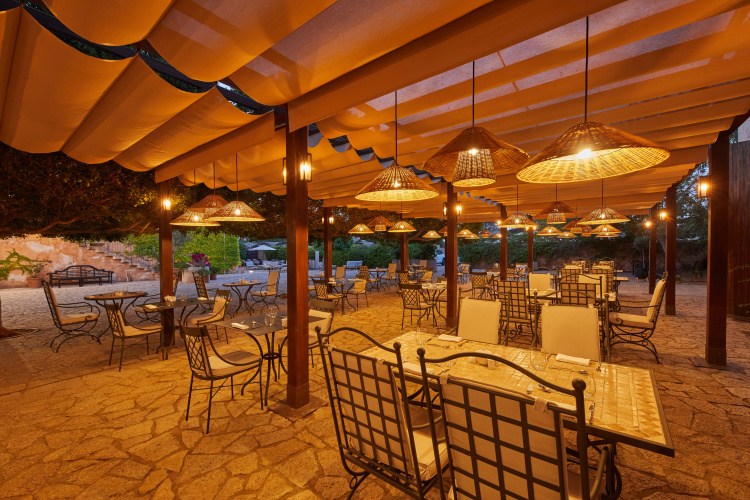 Zoetry Mallorca photo 25