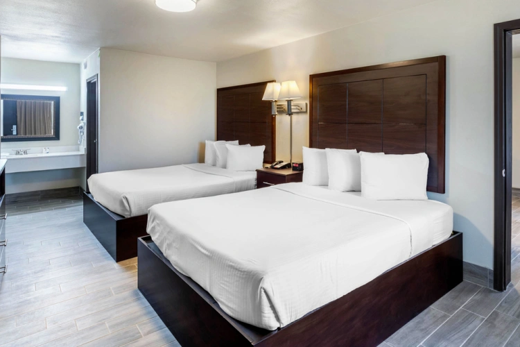 Twin Suite