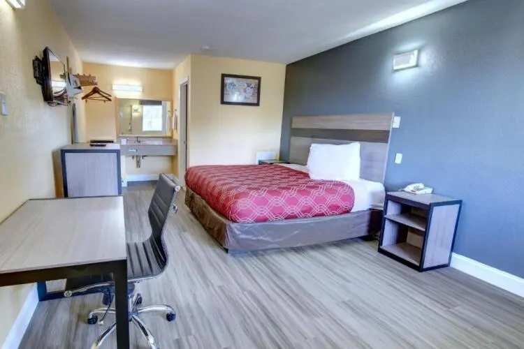 1 Room Double Suite
