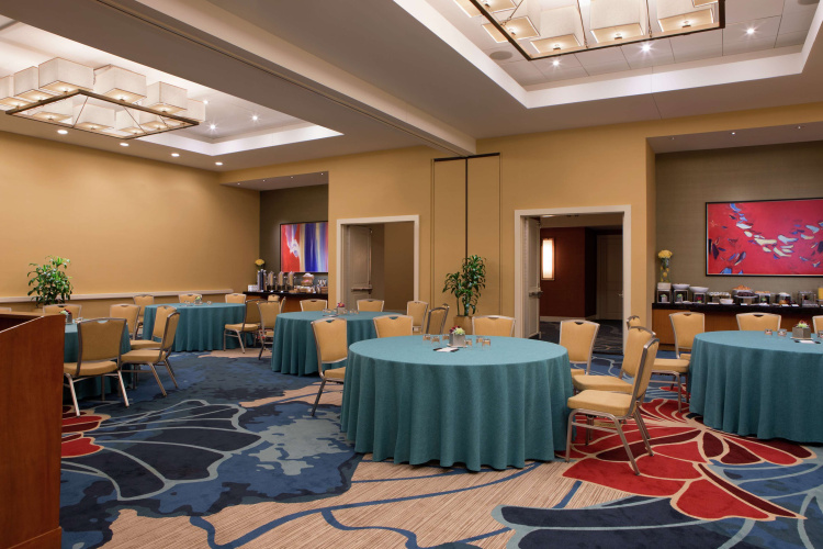 Hilton Orlando photo 15