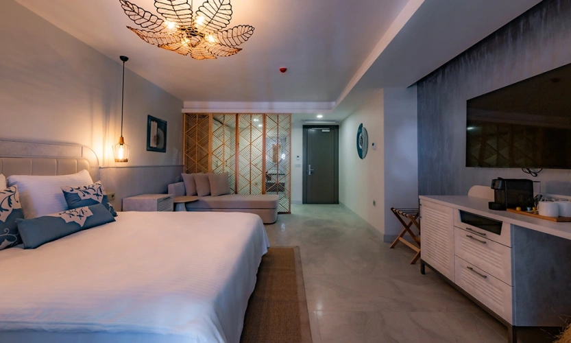 Deluxe Twin room with garden view