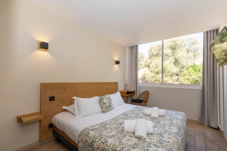 Standard Double room with garden view