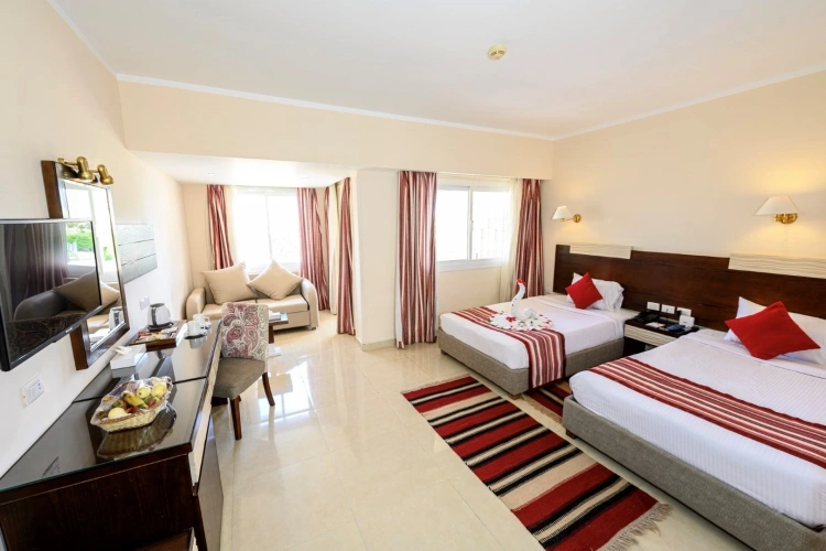 Standard Twin room with view