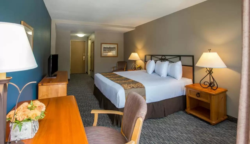 Forest View room