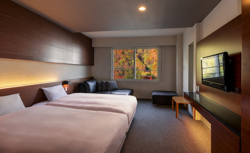 Modern Western room