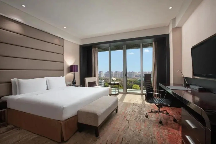 Premium Lounge Access Double room