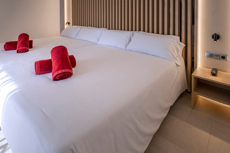 Deluxe Double Suite