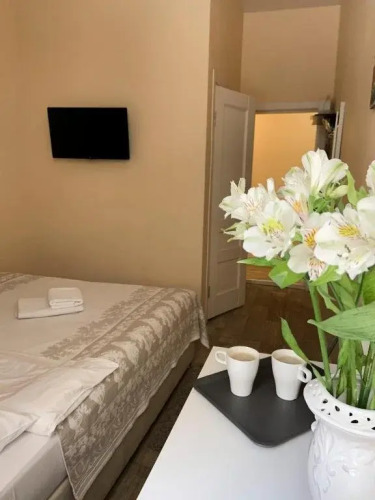 Фотография номера мини отеля Адель