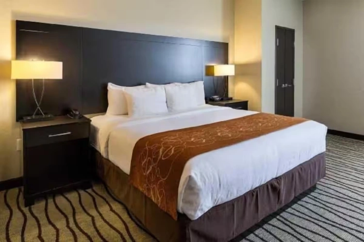 1 Bedroom Suite
