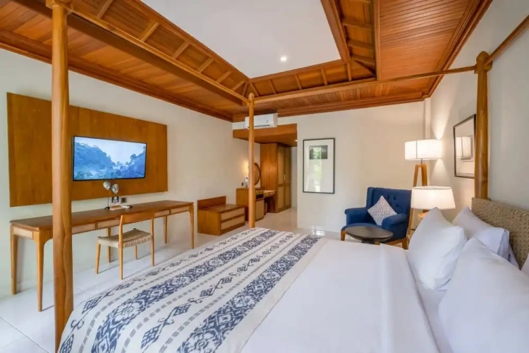 Deluxe Double room with garden view