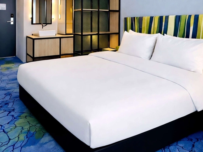 Stylish Standard Double room