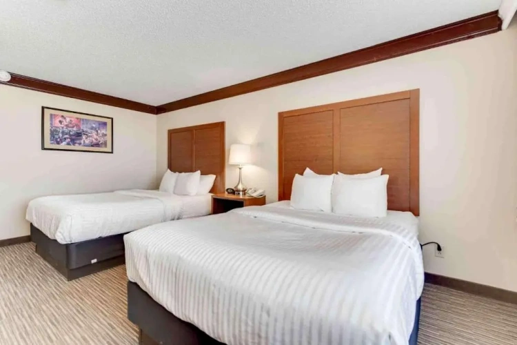 Quadruple room