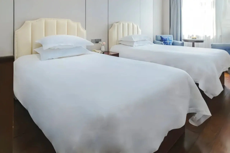 Business Standard Twin room