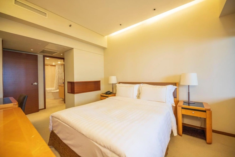 1 Bedroom Suite