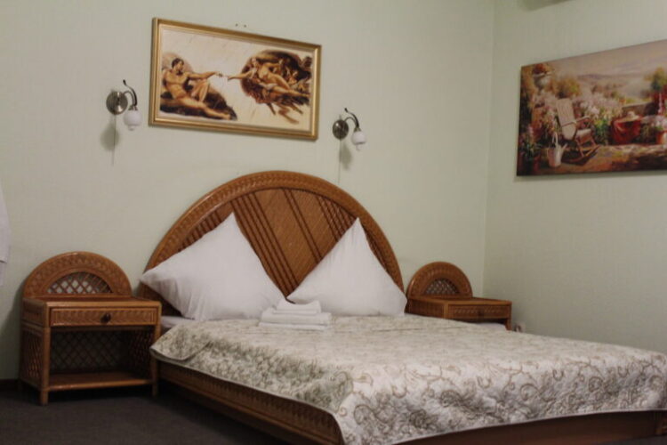 Фотография номера гостиницы Дон