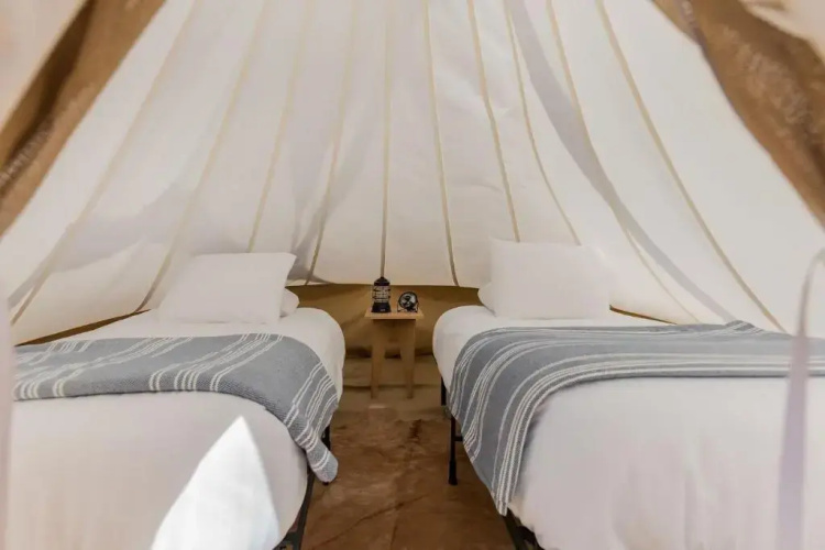 Under Canvas Zion
