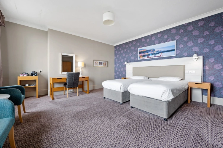 Superior Twin room with view