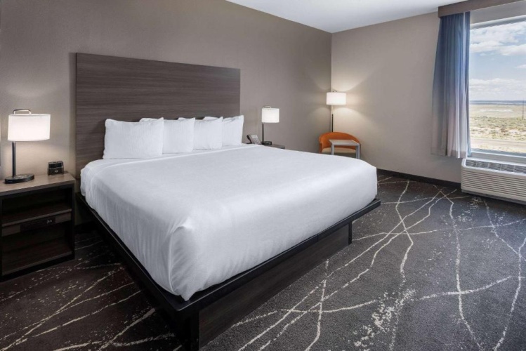 Mobility and Hearing Impaired Accessible Double room