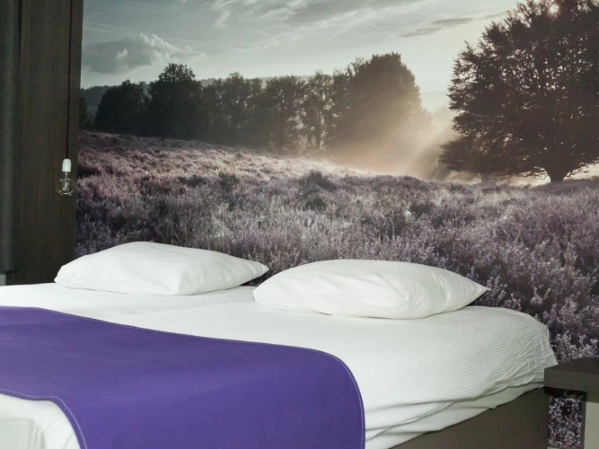 Comfort Terrace Twin room