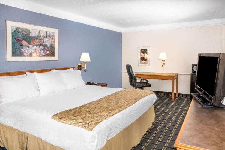 Mobility Accessible Double room