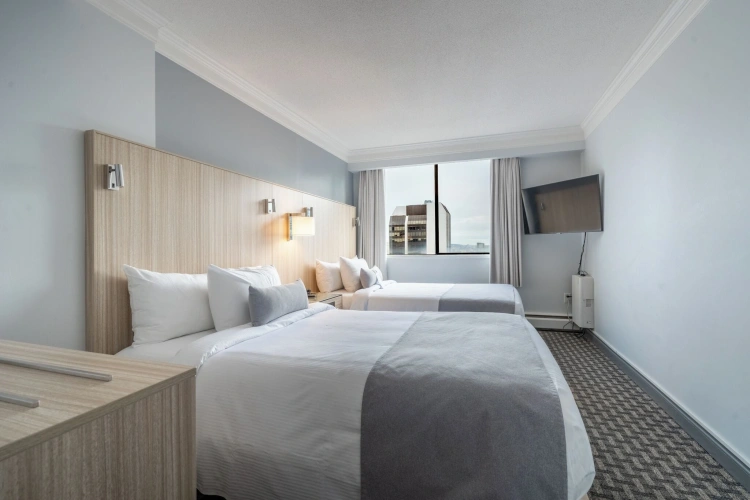 1 Bedroom Twin Suite