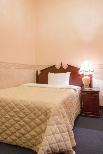 Фотография номера гостиницы Будапешт