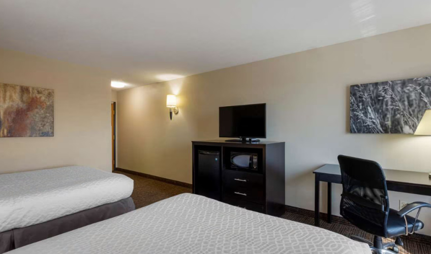 Accessible Twin room