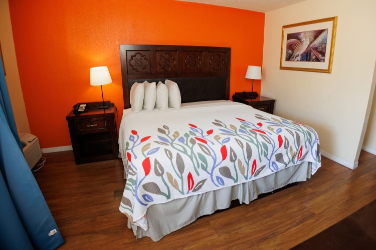 Standard Double room with garden view