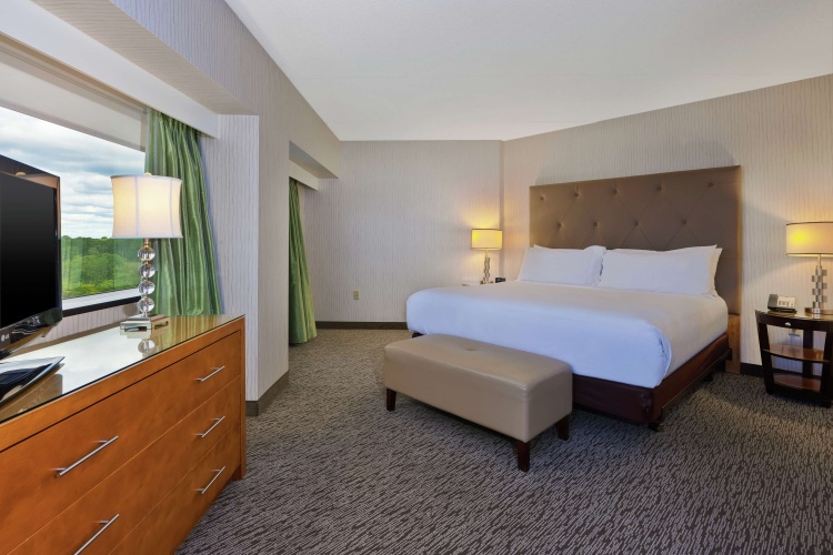 Embassy Suites by Hilton Auburn Hills photo 8