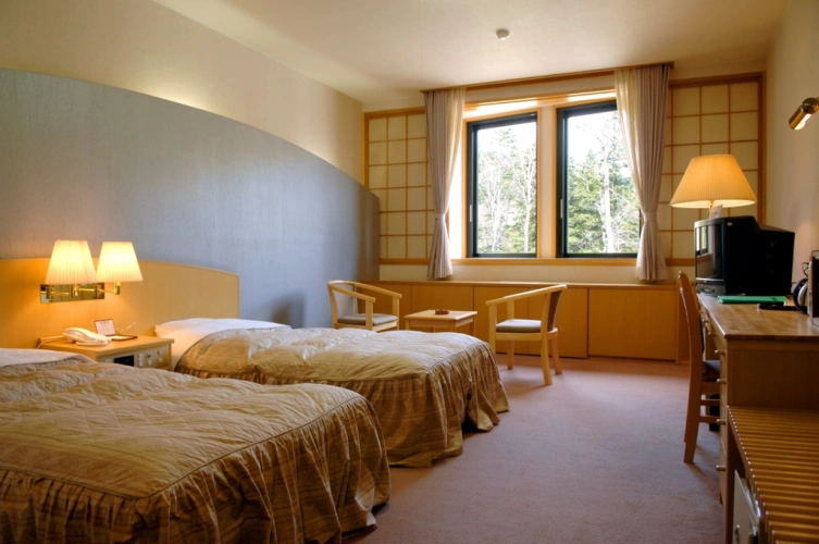 Western-style Twin room