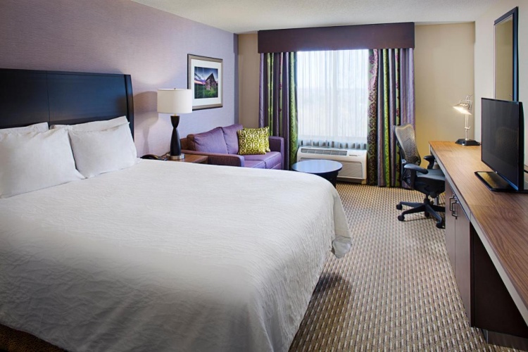 Hilton Garden Inn Hartford North/Bradley Int'l Airport photo 6