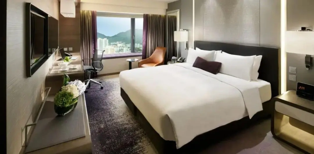 Deluxe Double Plaza Room