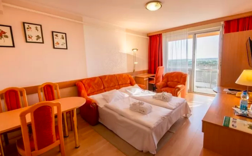 Superior Apartment