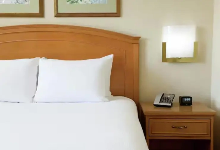 1 Bedroom Superior Double Suite with lake view