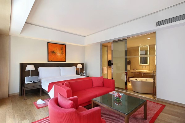 Premier Double Suite