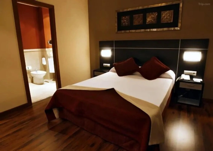 Basic Double room