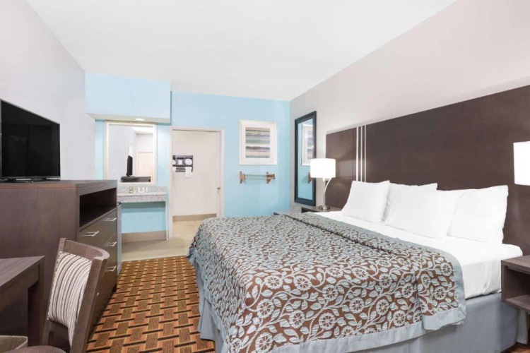 Twin Studio Suite