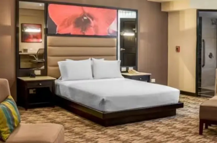 Mobility Accessible Double room