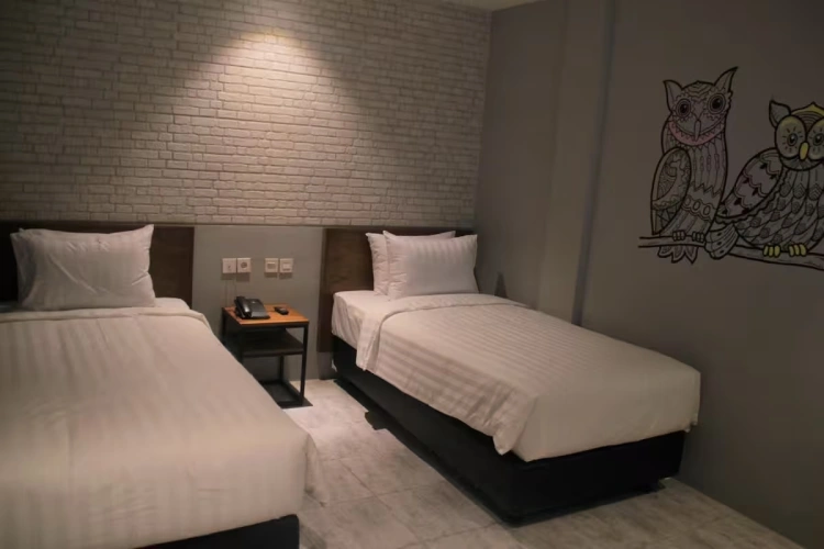 Starry Nite Twin room