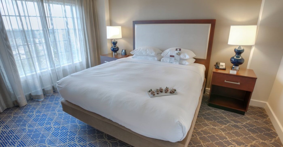 1 Bedroom Double Accessible Suite NON SMOKING