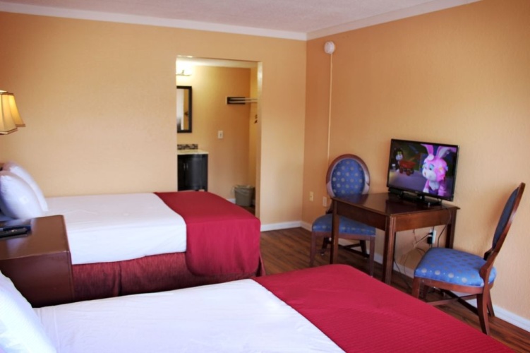 Standard Double room with pool view