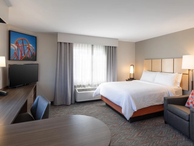 Accessible Double Studio Suite