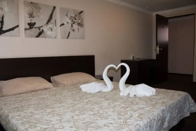 Фотография номера гостиницы Дон